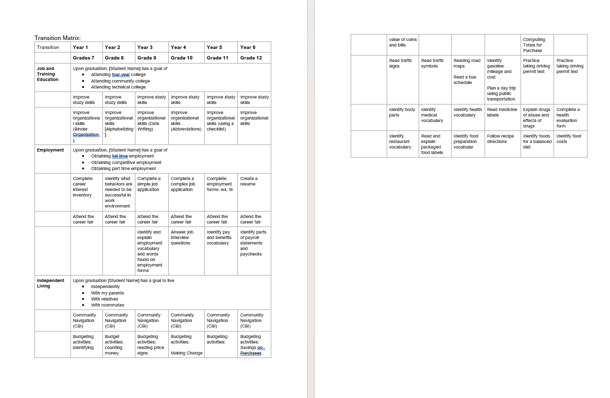 Comprehensive IEP Template for Special Education Professionals